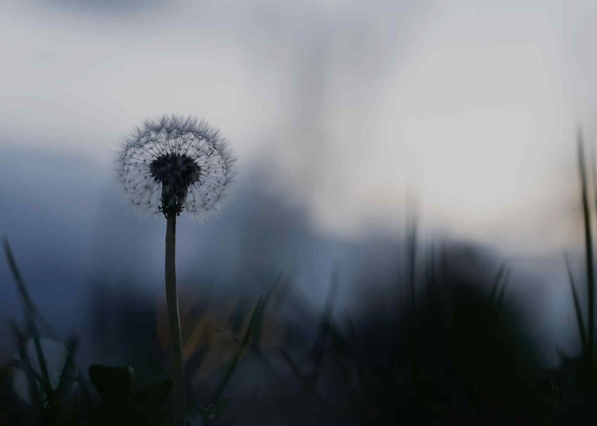 False Memory OCD subtype: how to treat it